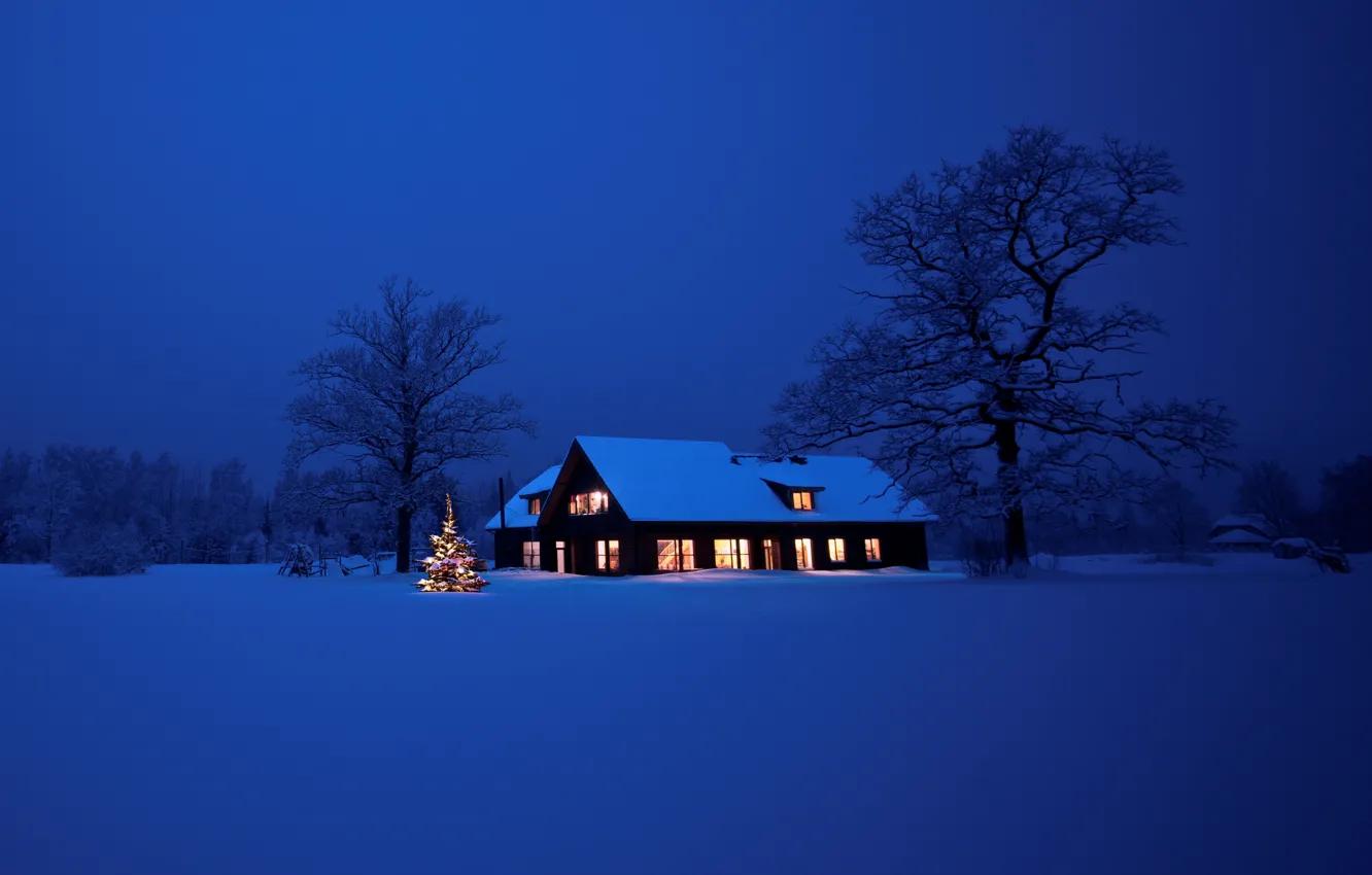 Фото обои lights, дом, елка, Новый Год, Рождество, Christmas, night, winter