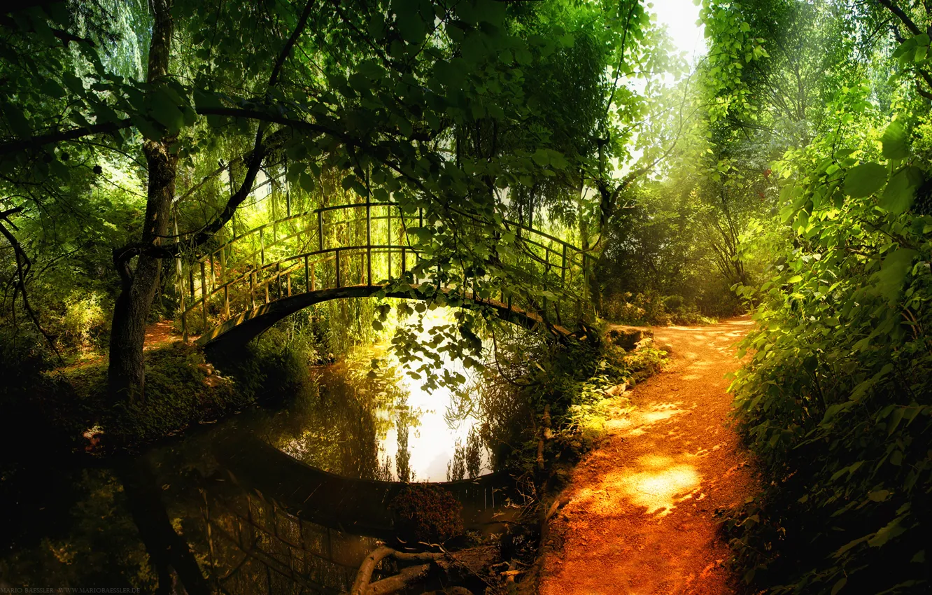 Фото обои отражение, речка, лес.мостик