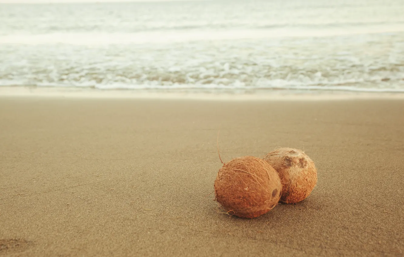 кокос на берегу моря