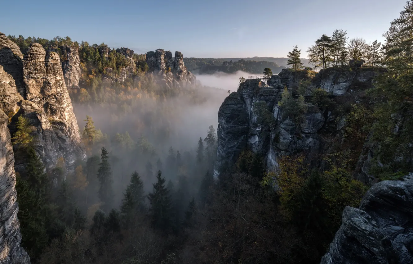 Фото обои Germany, Saxony, Niederrathen, Sächsische Schweiz-Osterzgebirge