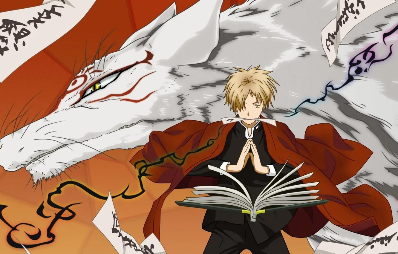 Фото обои аниме, madara, natsume yuujinchou, няко-сенсей, тетрадь дружбы нацумэ, natsume, нацумэ