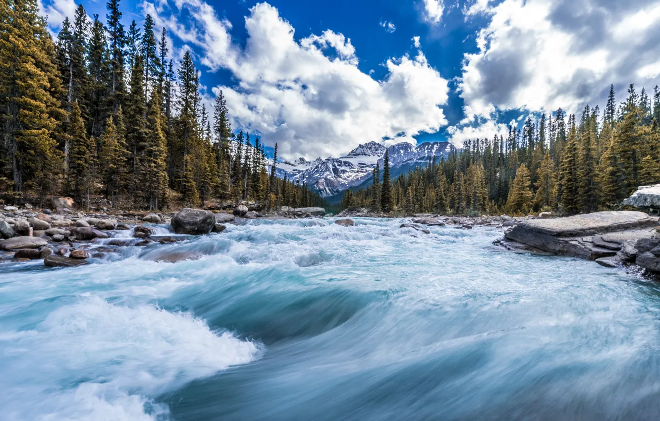 Фото обои лес, деревья, горы, река, поток, Канада, Canada, Канадские Скалистые горы