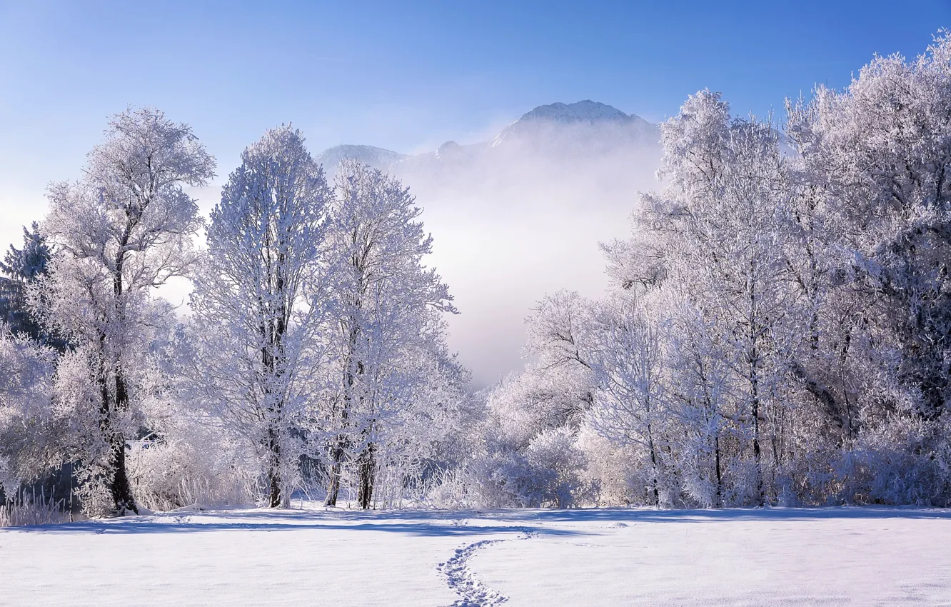 Фото обои зима, снег, деревья, пейзаж, горы, природа, туман, Германия