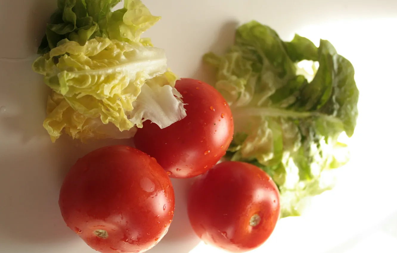 Фото обои Помидоры, Капуста, Tomatoes