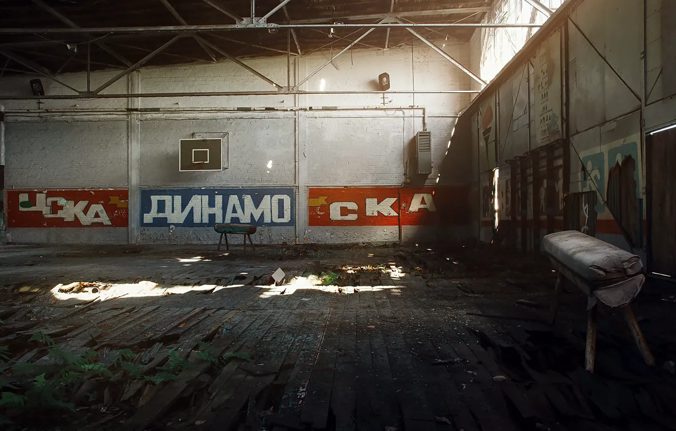 Фото обои спорт, зал, цска, динамо, ска