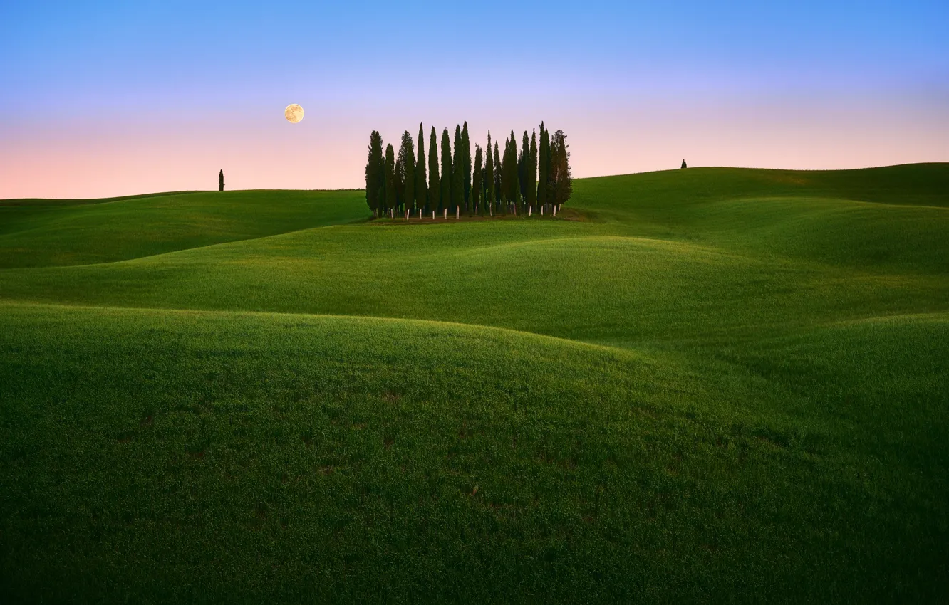 Фото обои поле, небо, трава, деревья, Италия, Тоскана