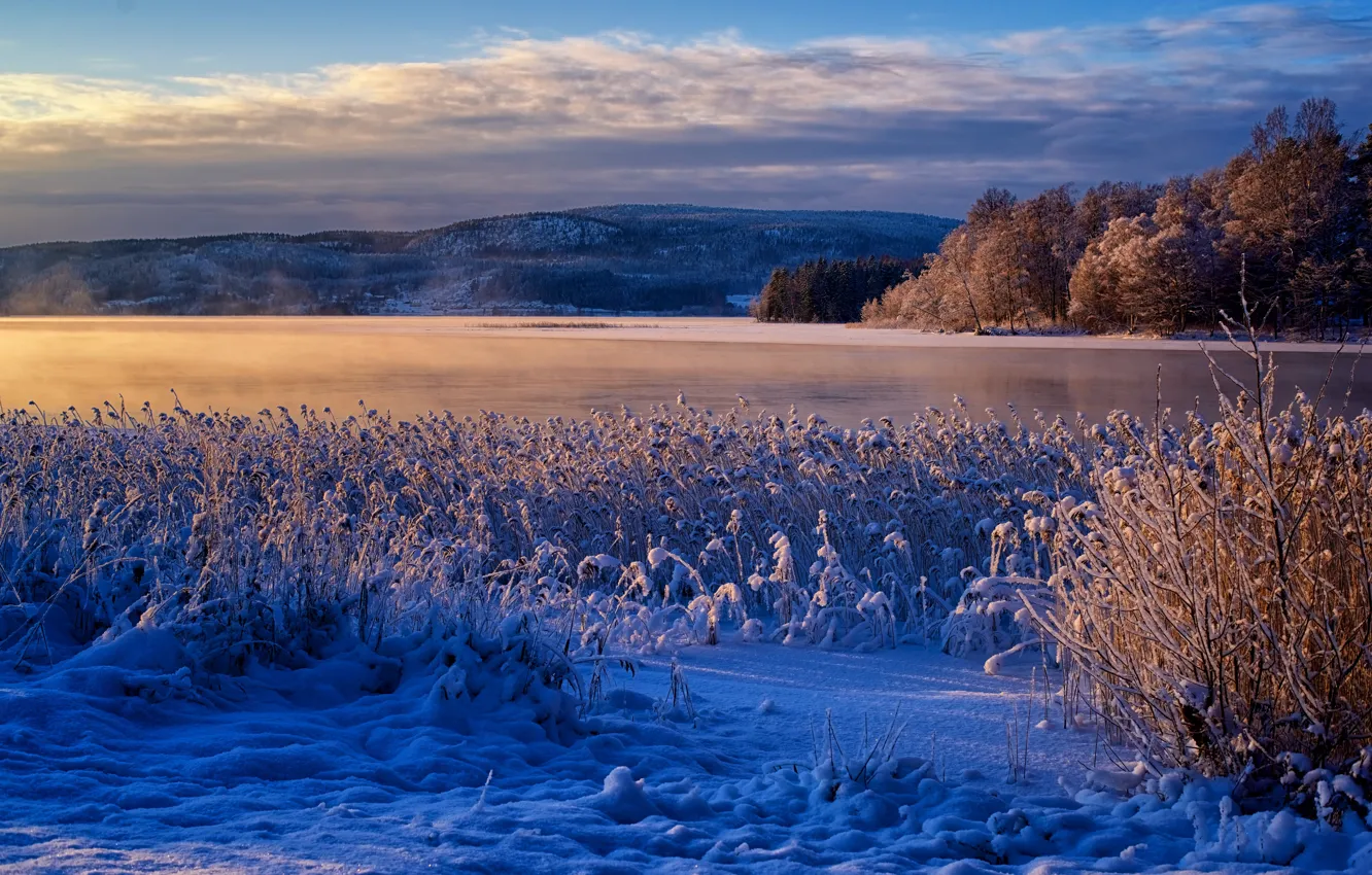 Фото обои зима, снег, горы, река, камыш, Швеция, Sweden, Река Онгерманэльвен