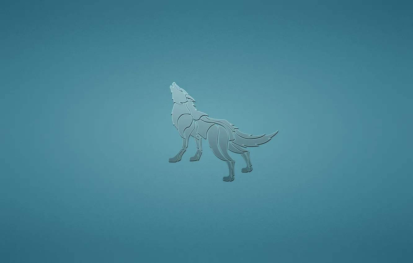 Фото обои животное, волк, собака, минимализм, синий фон, воет