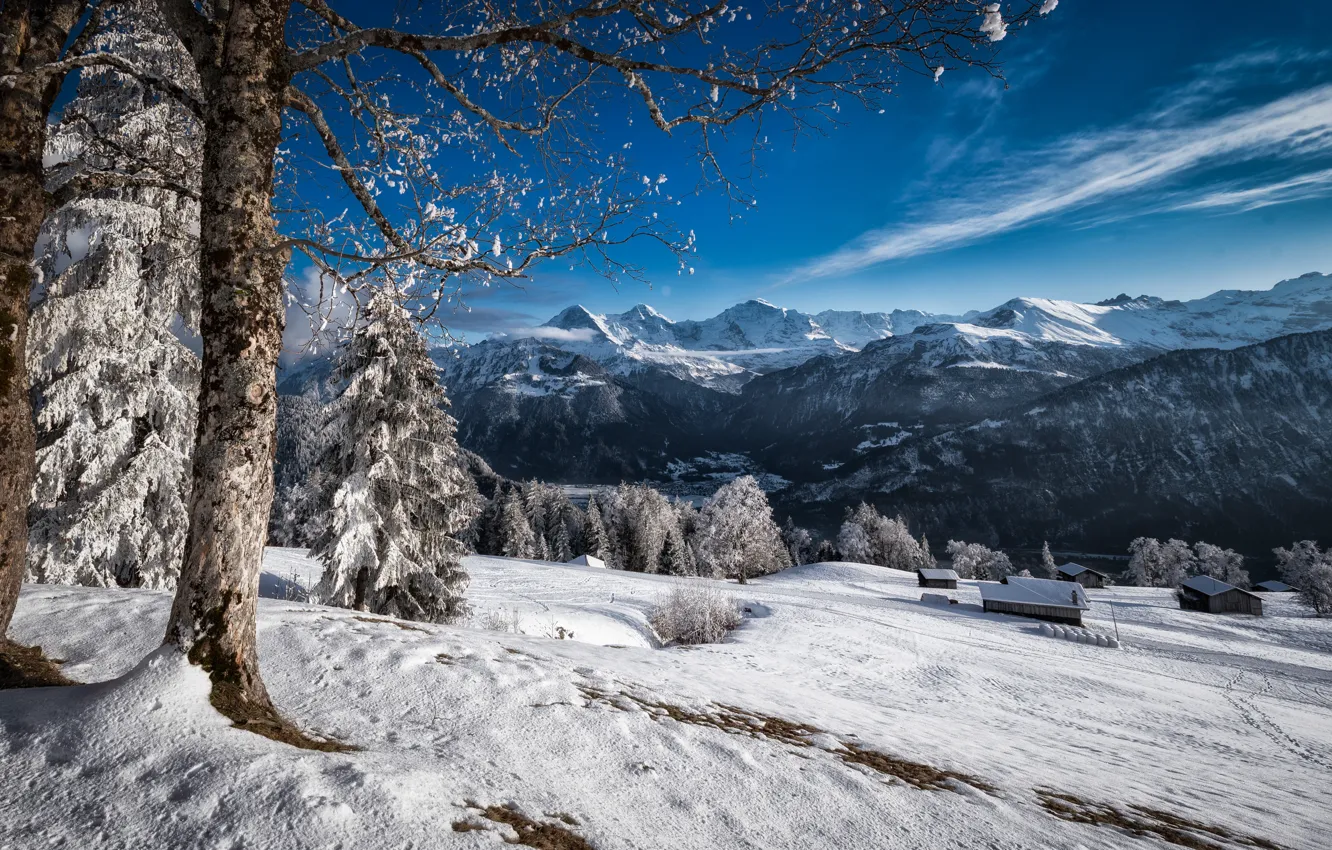 Фото обои зима, снег, деревья, пейзаж, горы, природа, дома, ели
