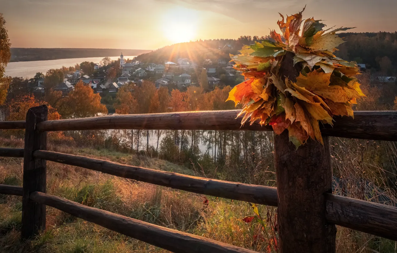 Фото обои осень, листья, солнце, лучи, пейзаж, природа, город, река