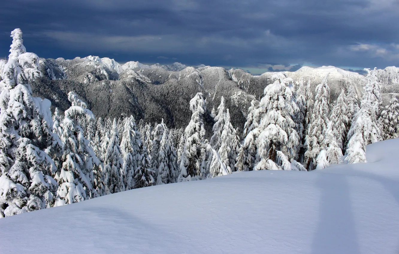 Фото обои зима, снег, деревья, горы, ели, Канада, Canada, British Columbia