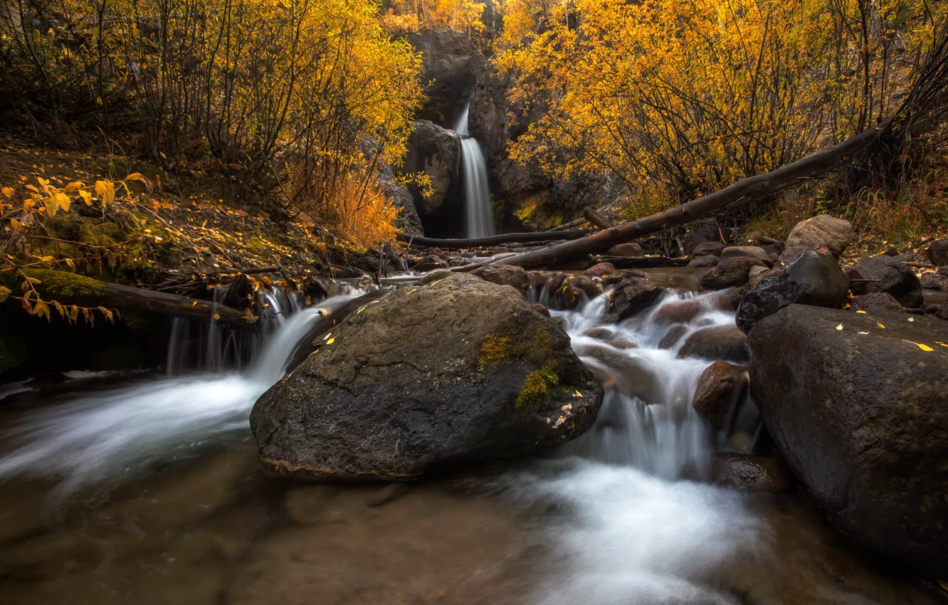 Фото обои осень, лес, ветки, камни, водопад, брёвна