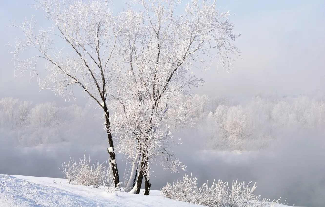 Фото обои зима, снег, пейзаж, природа, winter