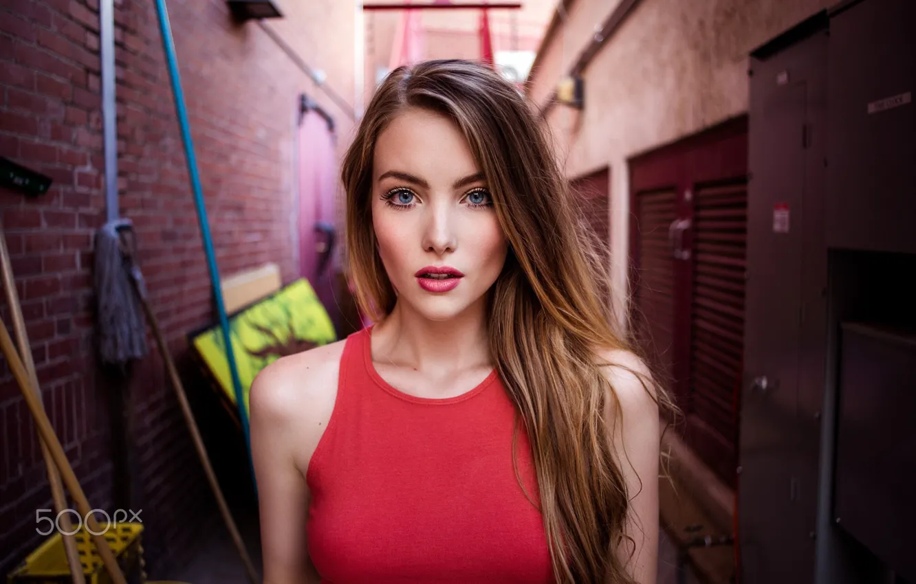 Фото обои girl, long hair, brown hair, photo, photographer, blue eyes, model, bokeh