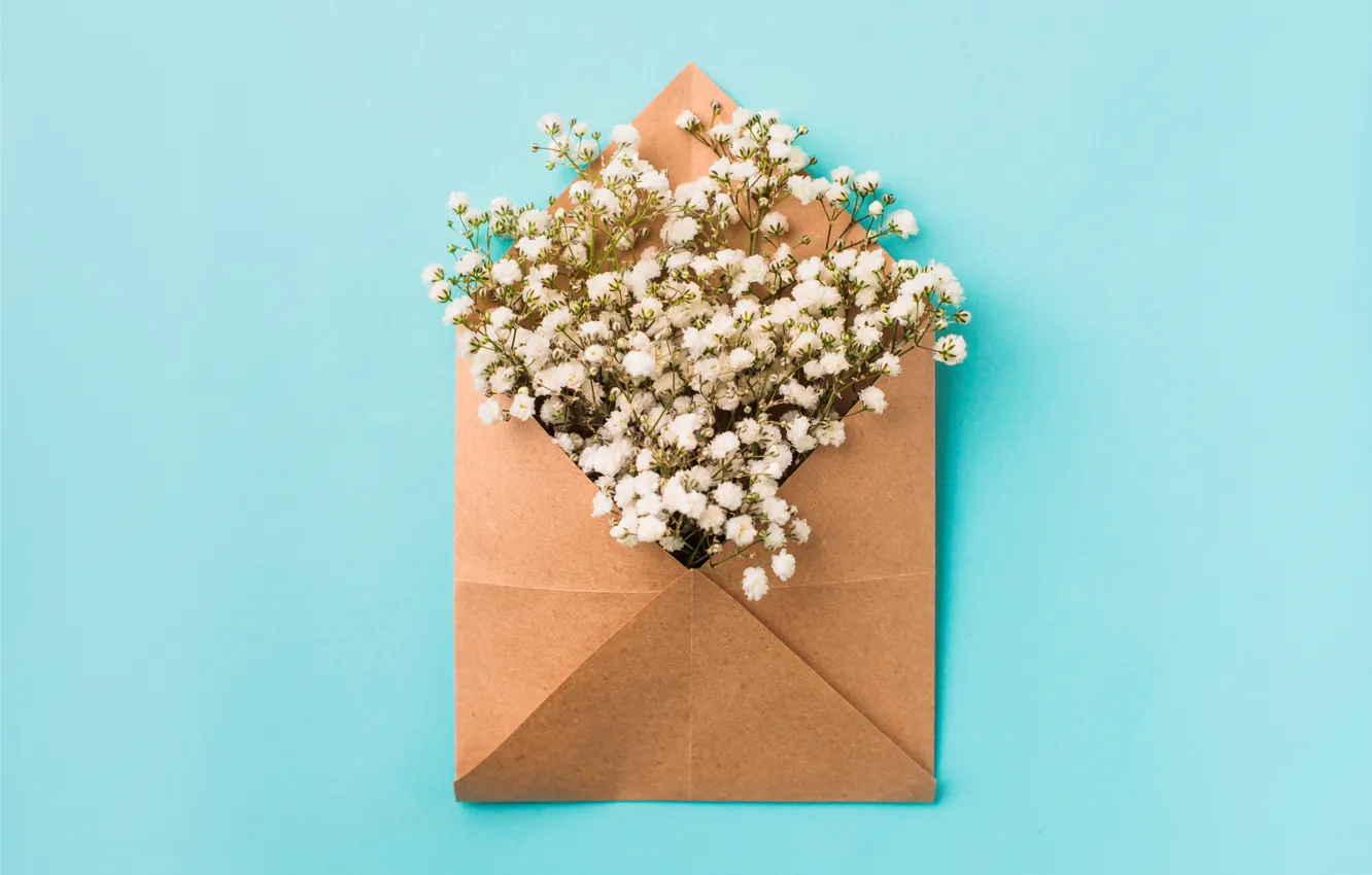 Фото обои цветы, фон, white, белые, flowers, конверт, spring
