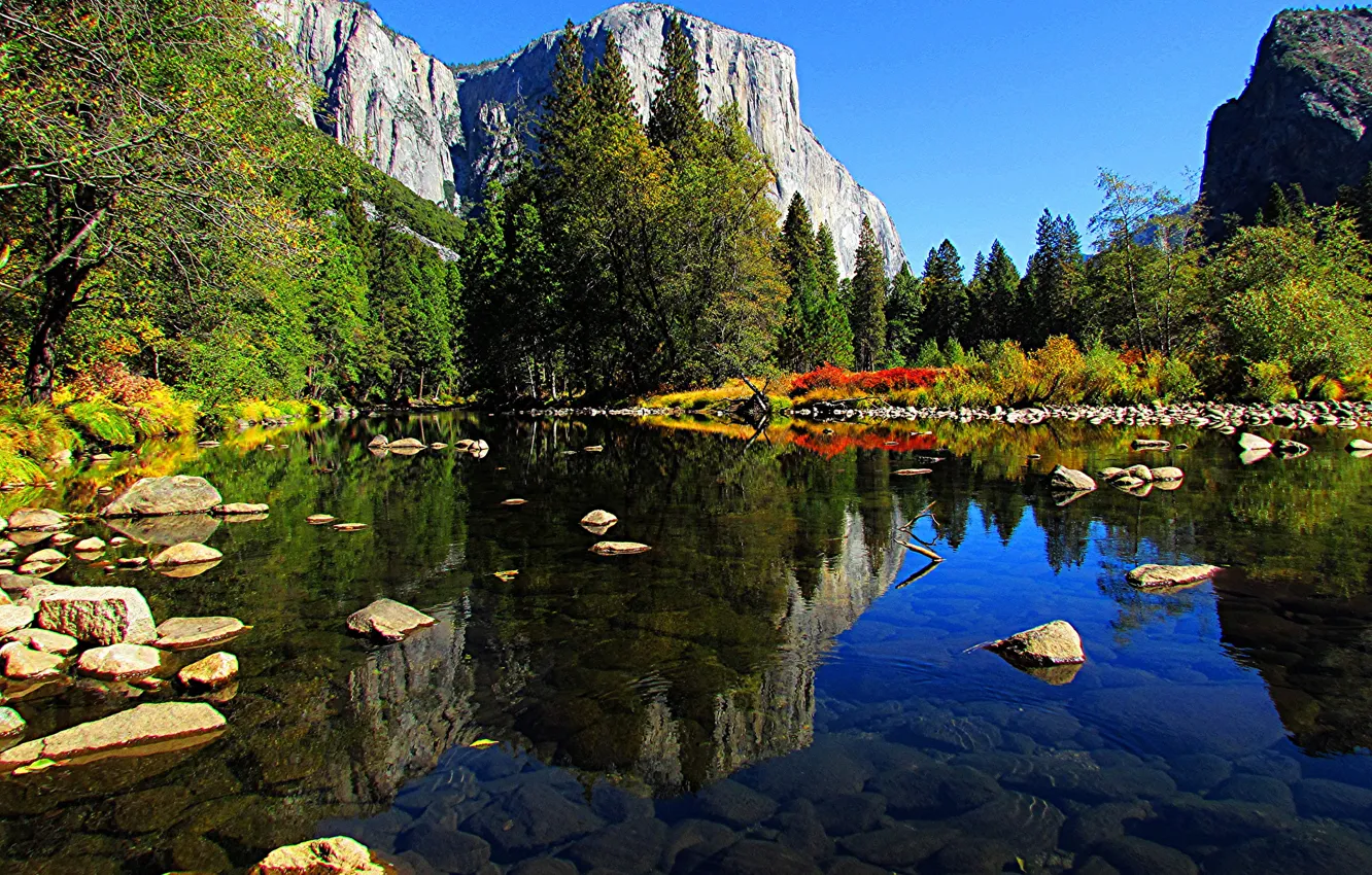 Фото обои осень, лес, деревья, горы, река, камни, Калифорния, США