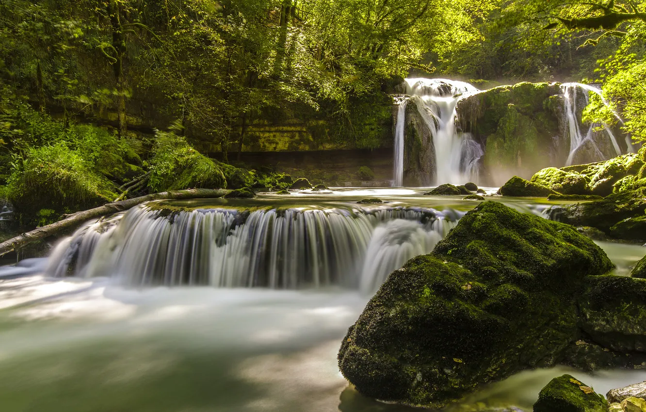 Фото обои лес, свет, камни, берег, водопад, мох, каскад