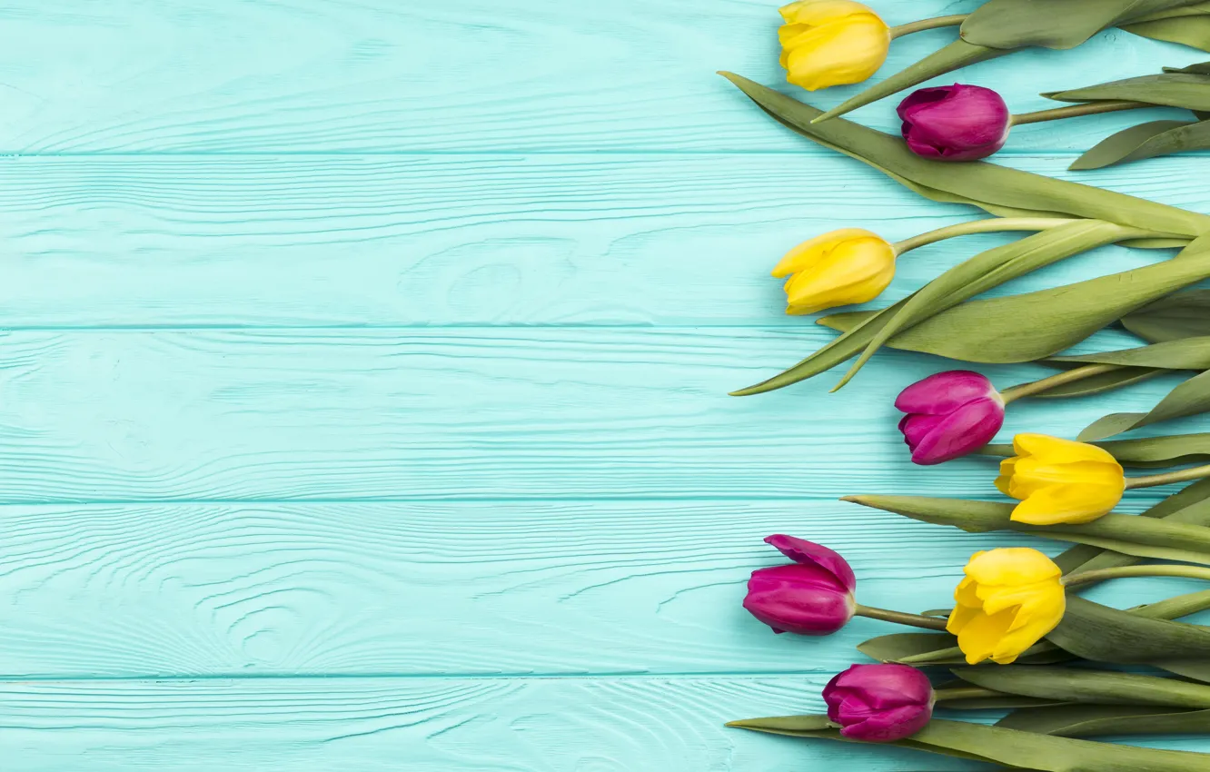 Фото обои цветы, тюльпаны, yellow, wood, flowers, tulips, spring, purple