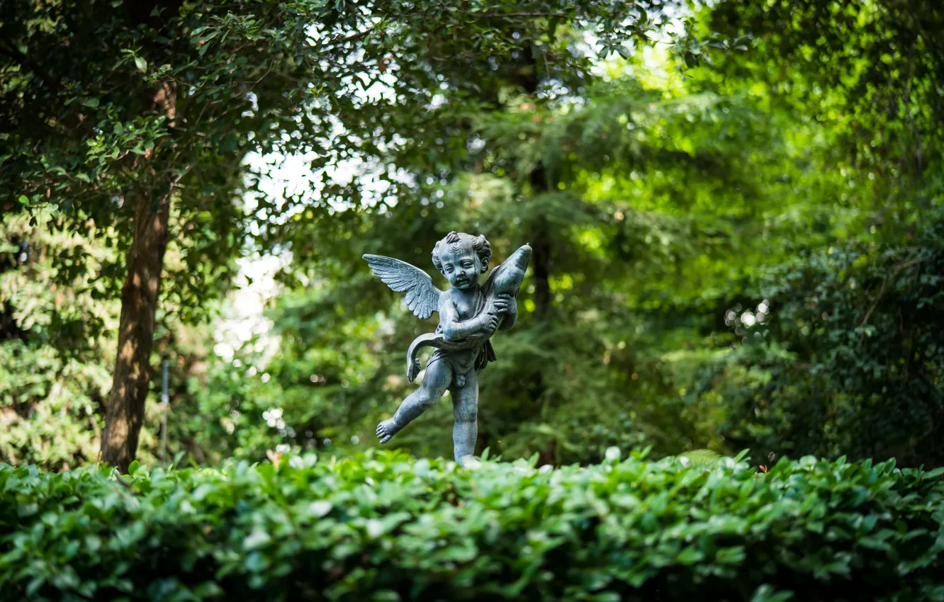Фото обои Сад, Ангел, Garden, Ландшафтный дизайн, Старинные садовые скульптуры, Архитектурное наследие, Architectural Heritage, Landscaping
