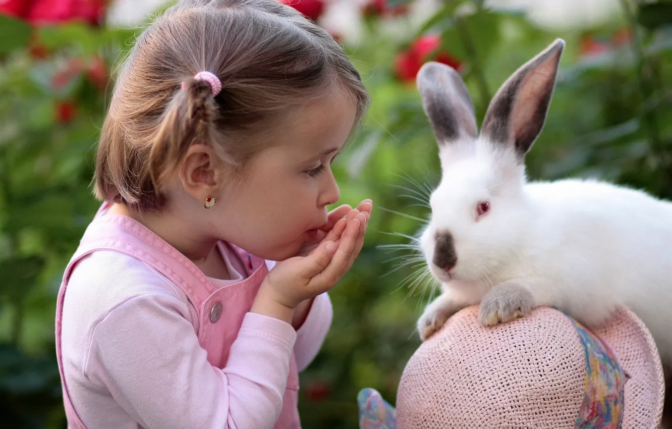 Фото обои ребенок, кролик, девочка