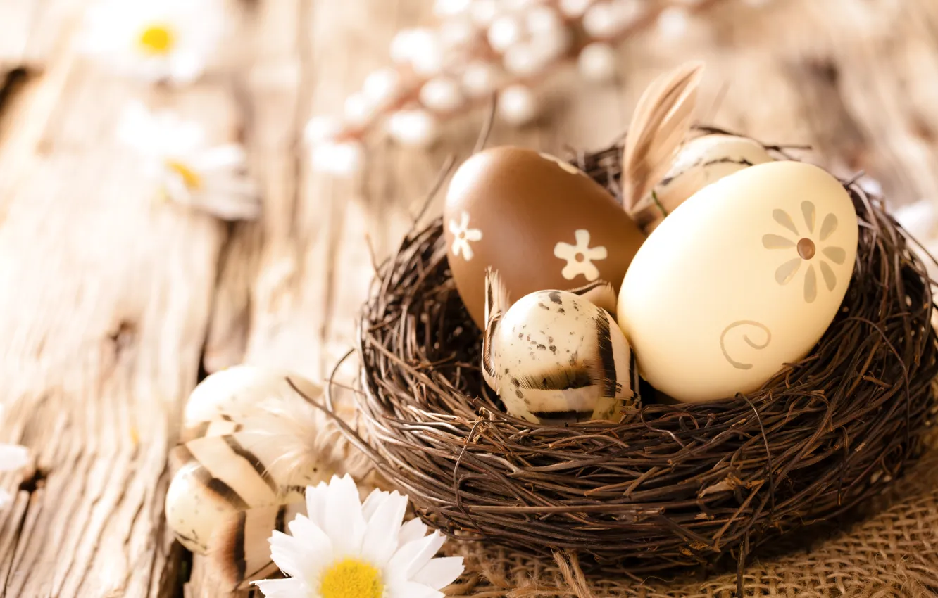 Фото обои ромашки, яйца, пасха, wood, flowers, eggs, easter, camomile