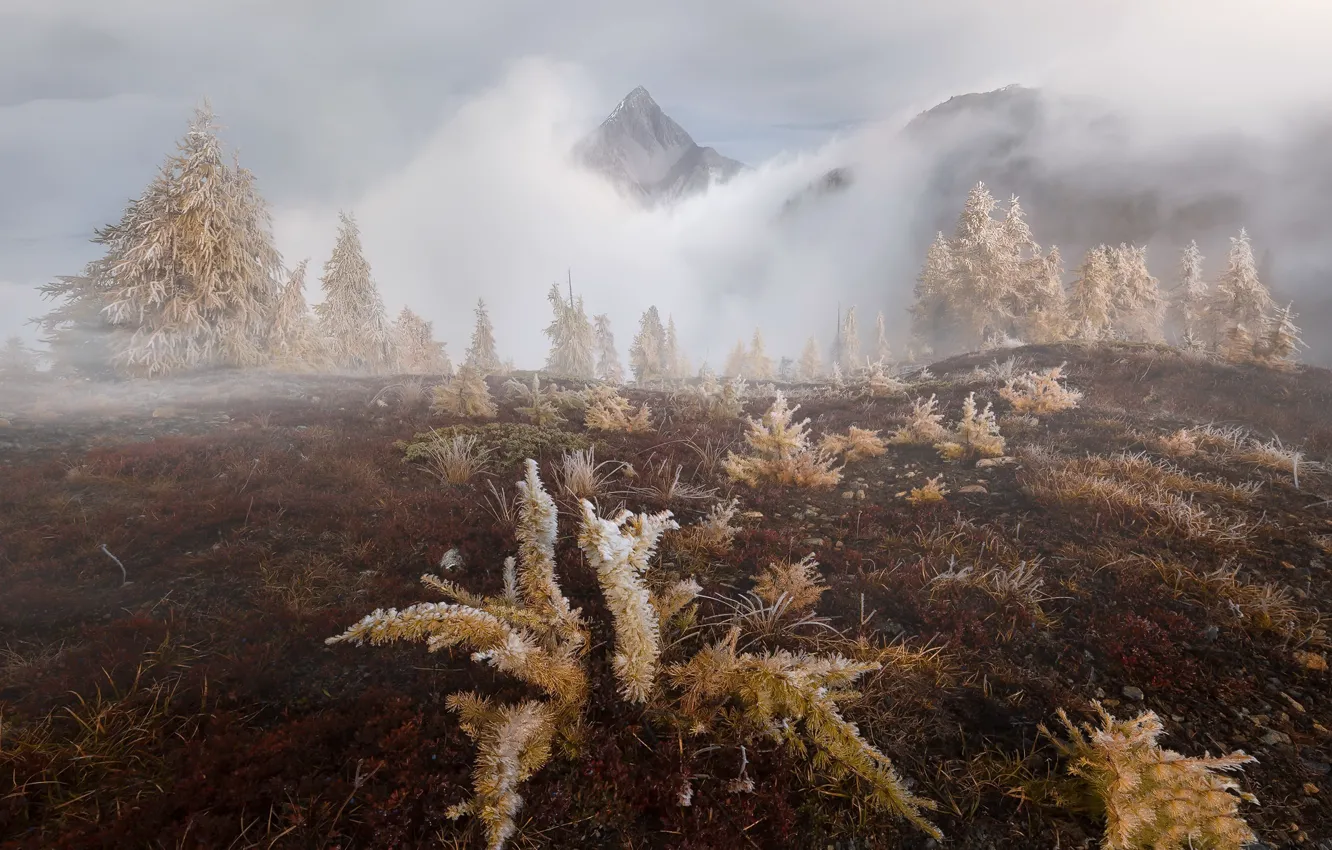 Фото обои осень, горы, туман