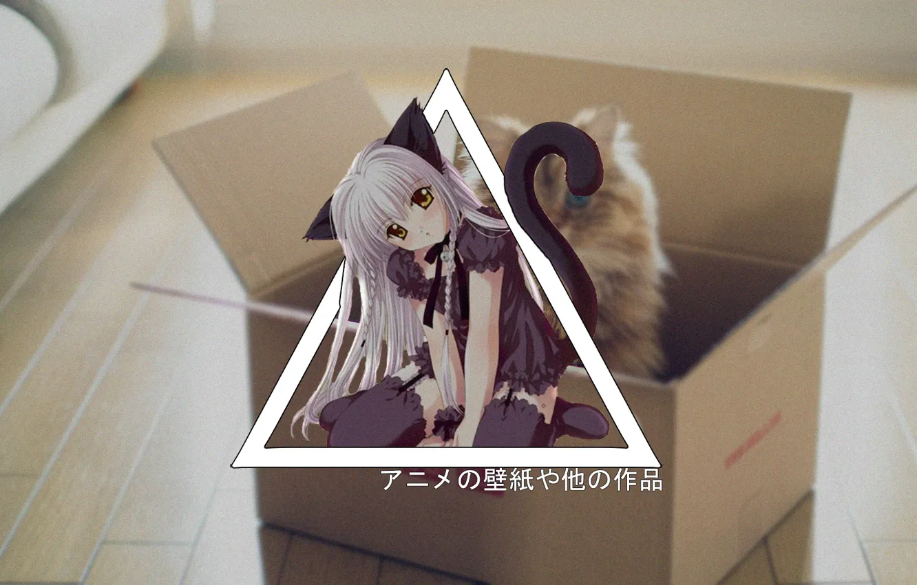 Фото обои anime, cat, DxD, madskillz, koneco