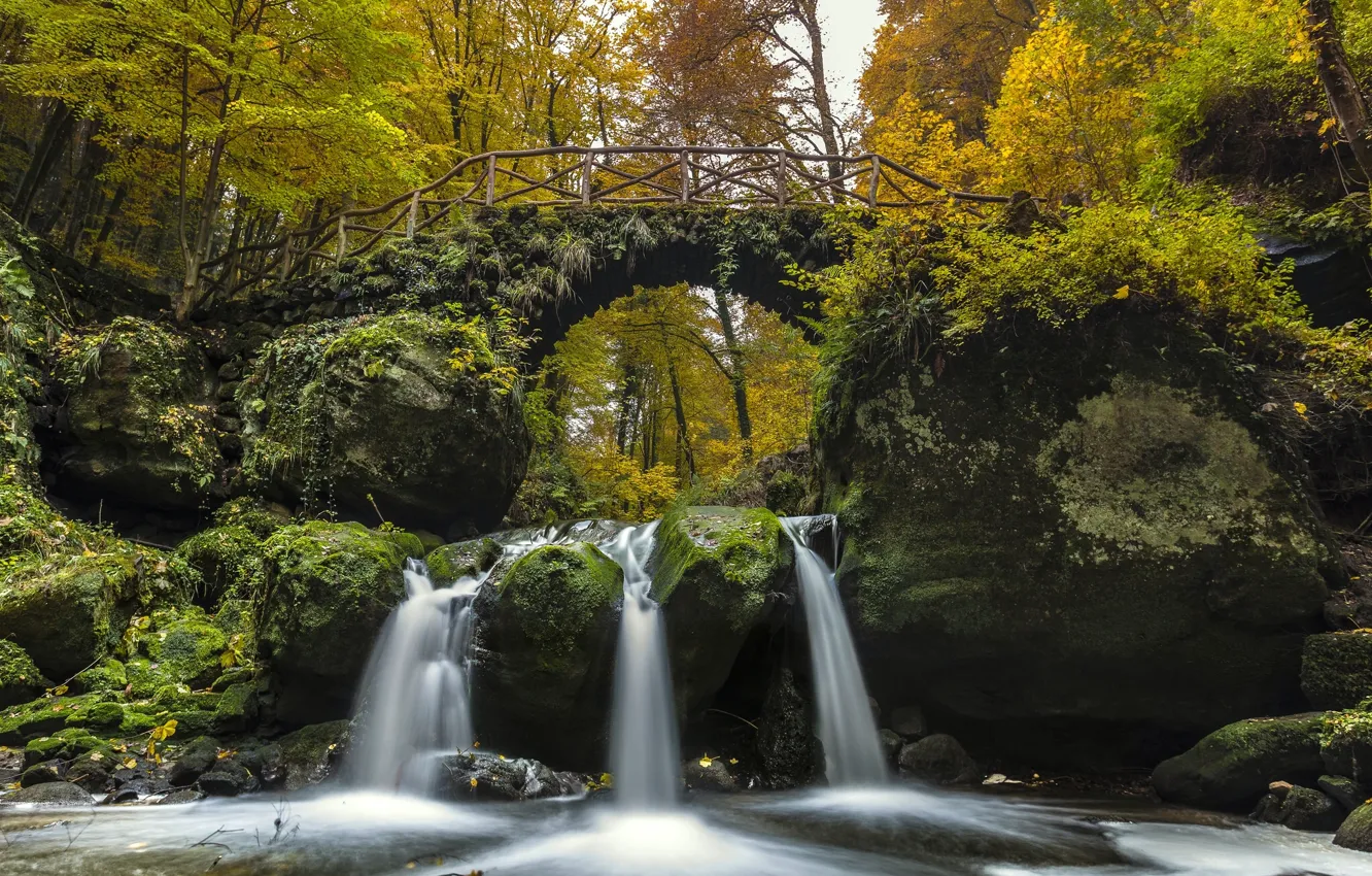 Фото обои осень, лес, мост, река, водопад, каскад, Люксембург, Luxembourg