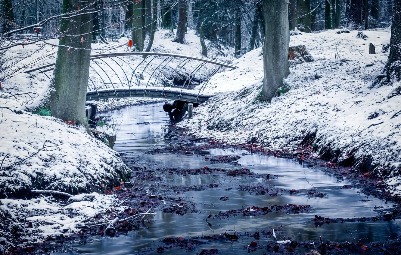 Фото обои снег, парк, Netherlands, Guelders, Velp