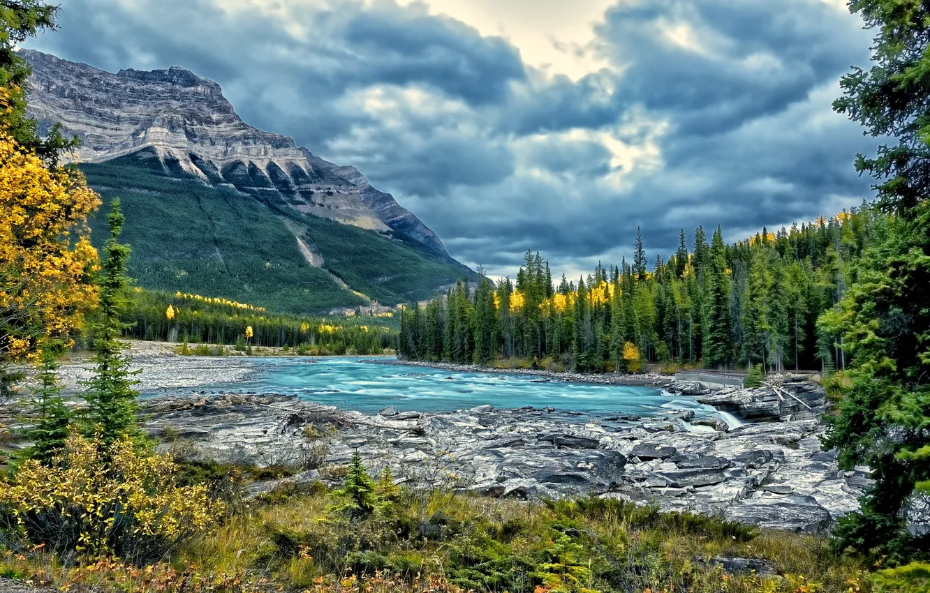 Фото обои лес, деревья, горы, река, Канада, Alberta, Canada, Jasper National Park