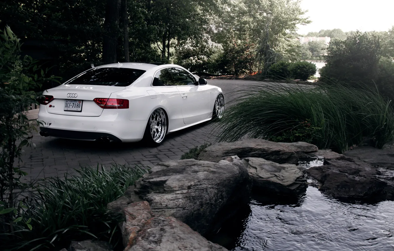 Фото обои Audi, ауди, белая, white