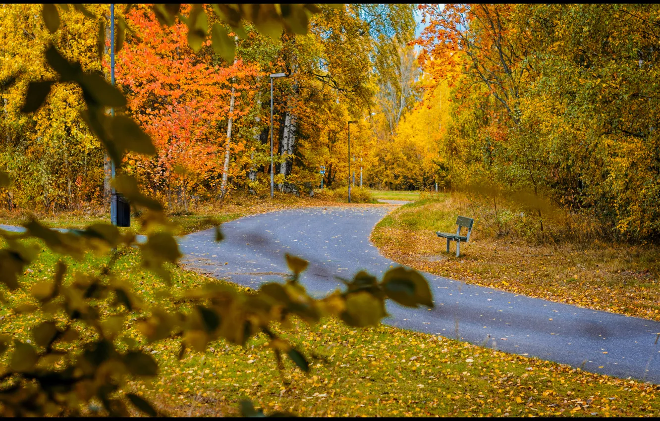 Фото обои осень, скамейка, листва, дорожка, листопад, Autumn, leaves, path