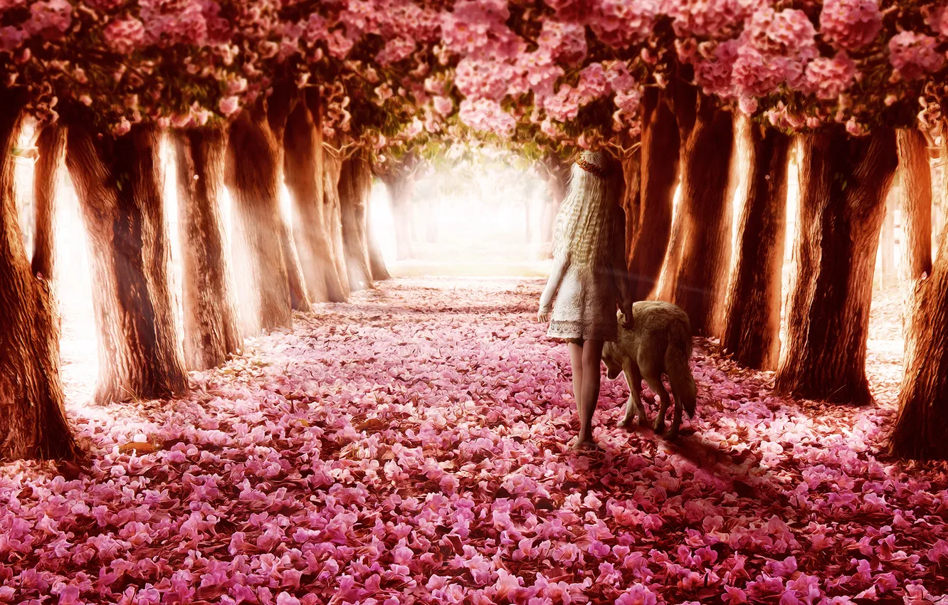 Фото обои девушка, деревья, цветы, волк, прогулка, аллея, венок, спиной