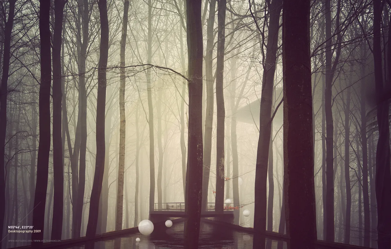Фото обои лес, деревья, мост, туман, река, шары, сооружение, белые
