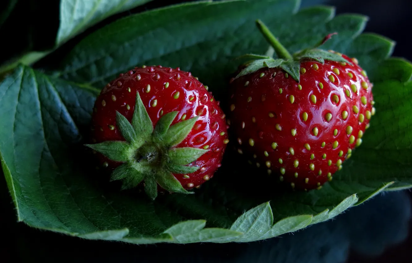 Фото обои ягоды, темный фон, две, блеск, листок, еда, клубника, красные