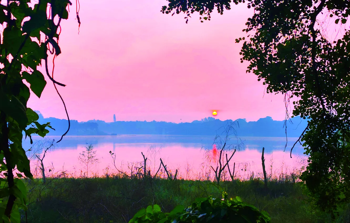 Фото обои Sky, Grass, Water, Sunrise, Dawn, Morning, Lake, Trees