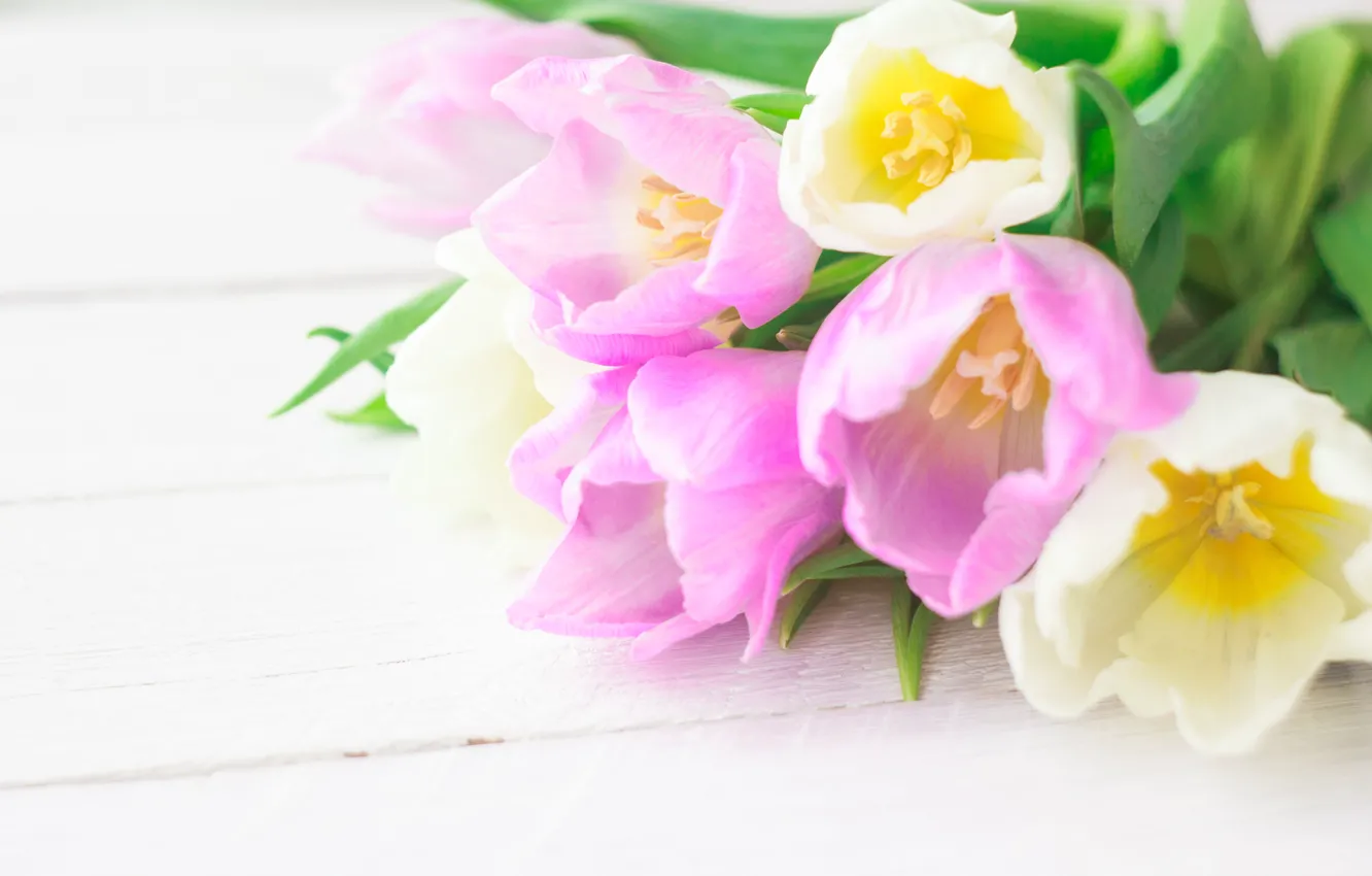 Фото обои цветы, букет, тюльпаны, love, розовые, white, fresh, pink