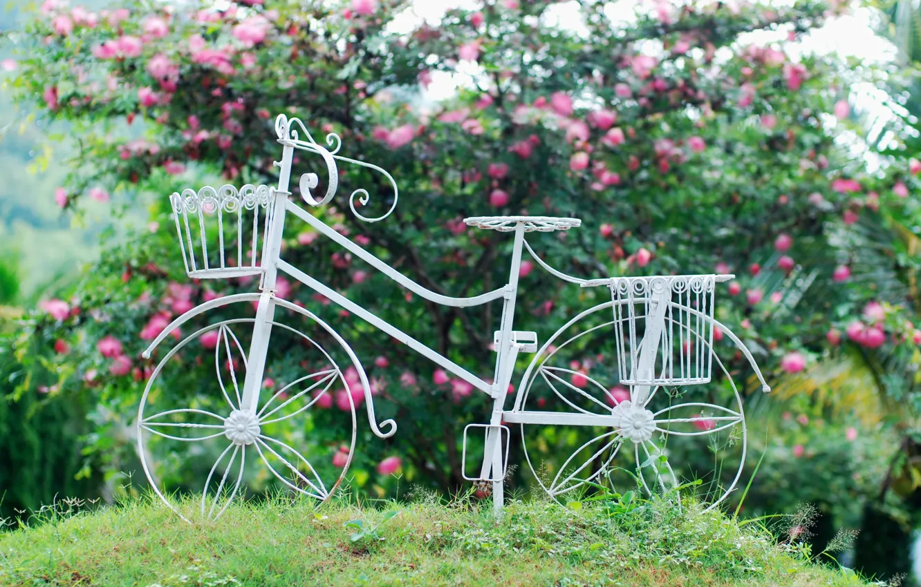 Фото обои белый, листья, цветы, велосипед, фон, widescreen, обои, настроения