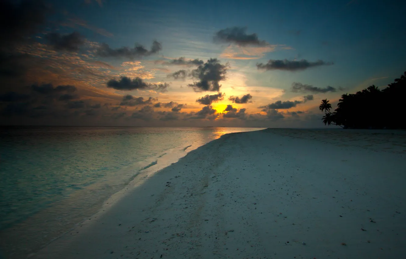 Фото обои песок, вода, солнце, облака, деревья, пальма, пальмы, дерево
