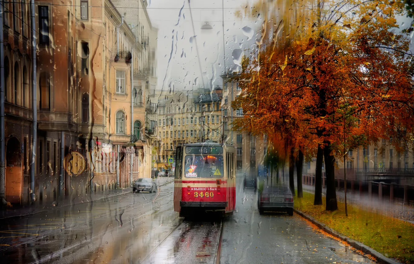 Фото обои дождь, Санкт-Петербург, трамвай