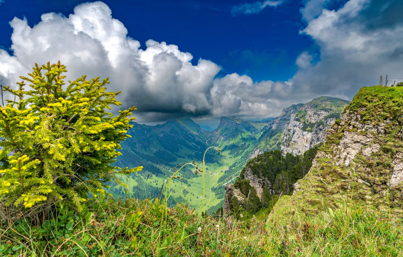 Фото обои облака, пейзаж, горы, Швейцария, Альпы