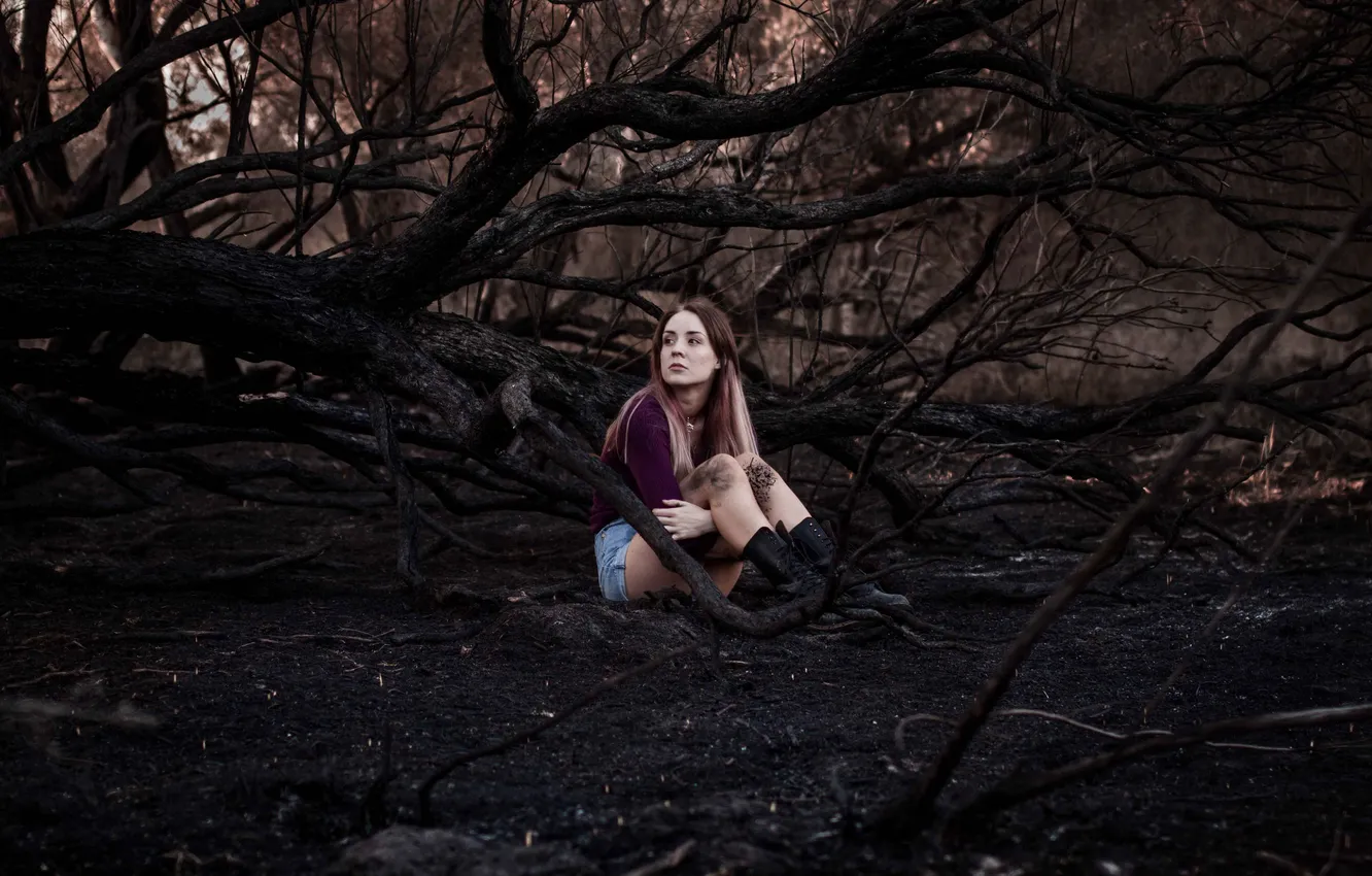Фото обои лес, девушка, шорты, ножки
