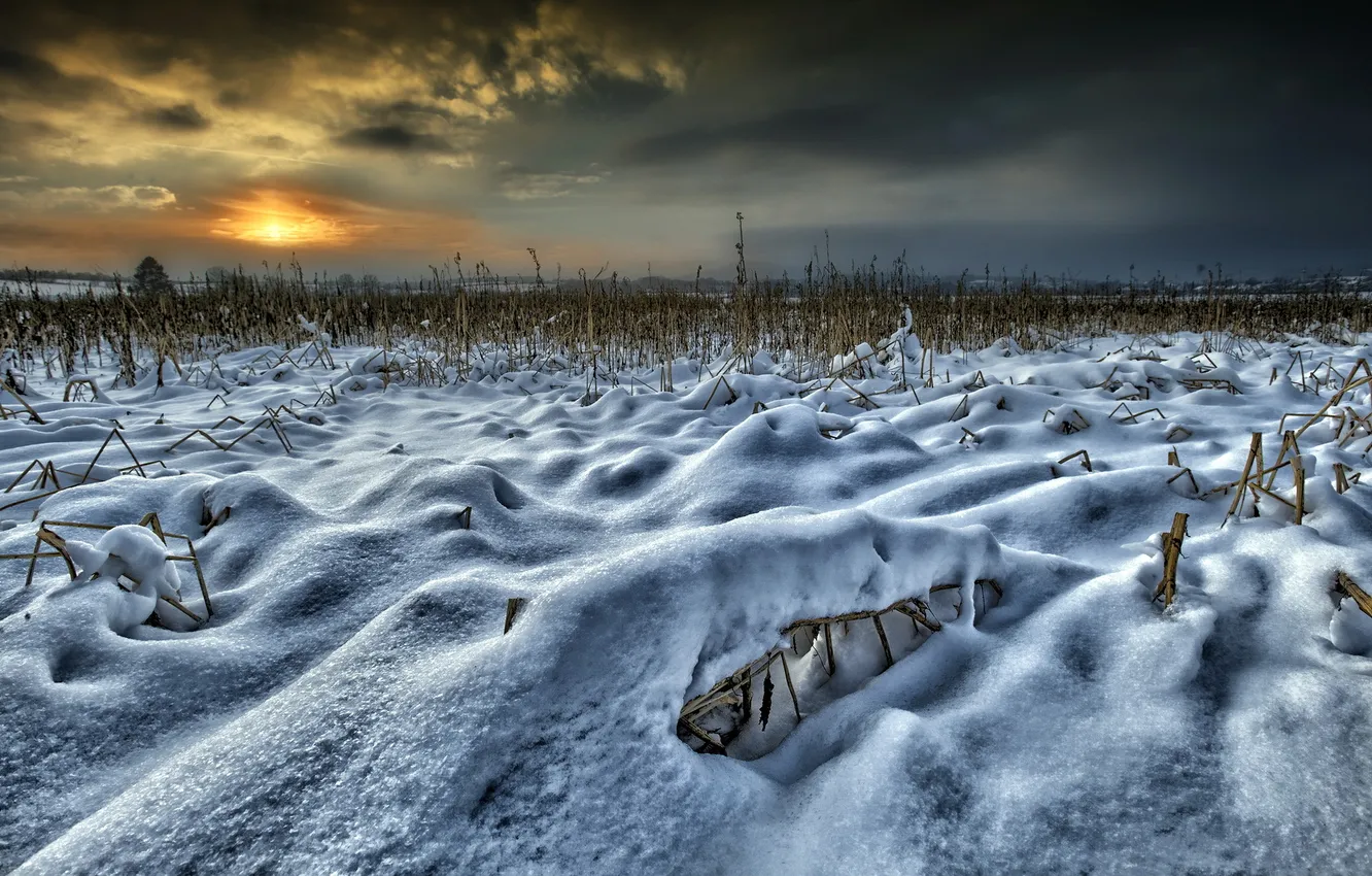 Фото обои поле, снег, закат