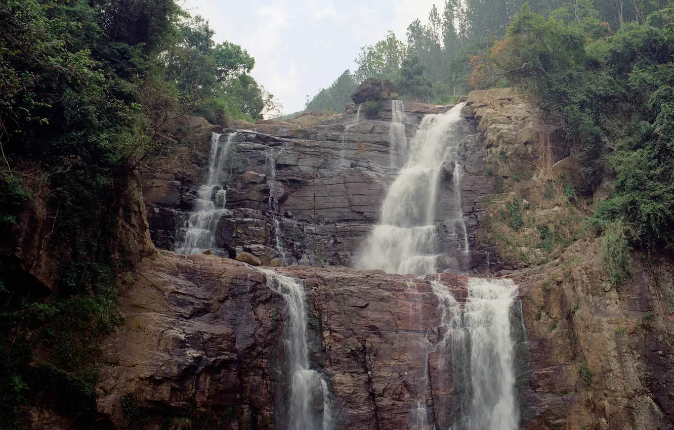 Фото обои деревья, трещины, скалы, водопад, кусты