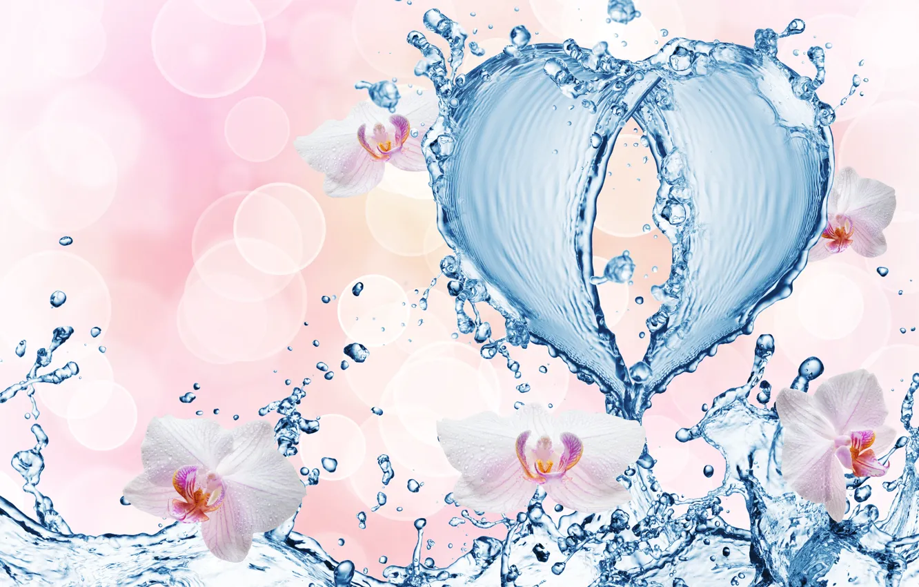 Фото обои вода, капли, цветы, брызги, узор, сердце, орхидеи