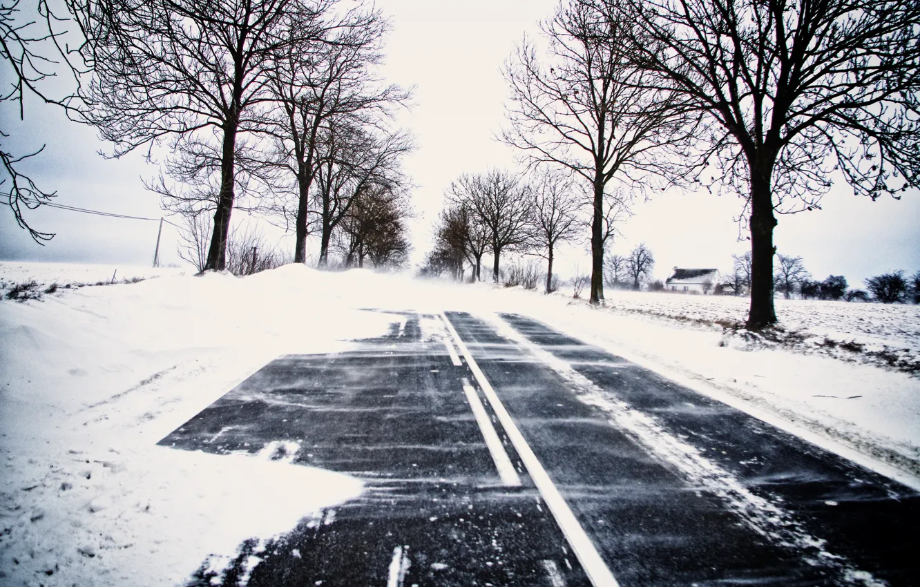 Фото обои зима, дорога, снег, деревья, ветки, дом, линии электропередачи