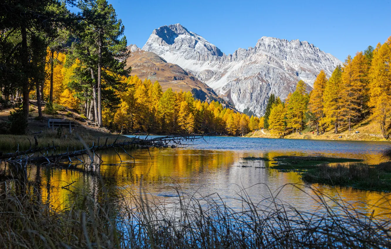 Фото обои осень, горы, озеро, Швейцария, Альпы