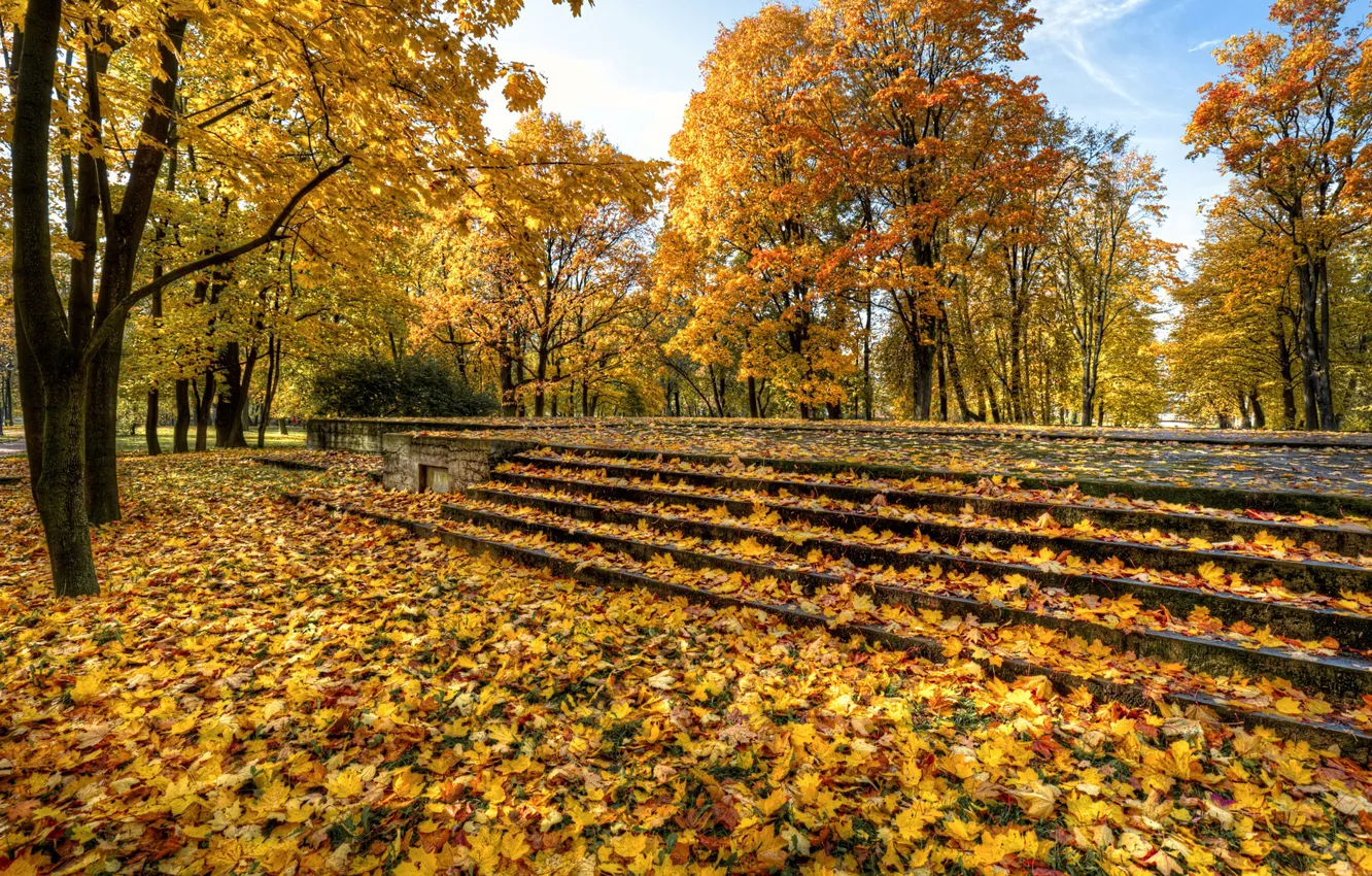 Фото обои осень, природа, парк, листва, лестница, Санкт-Петербург