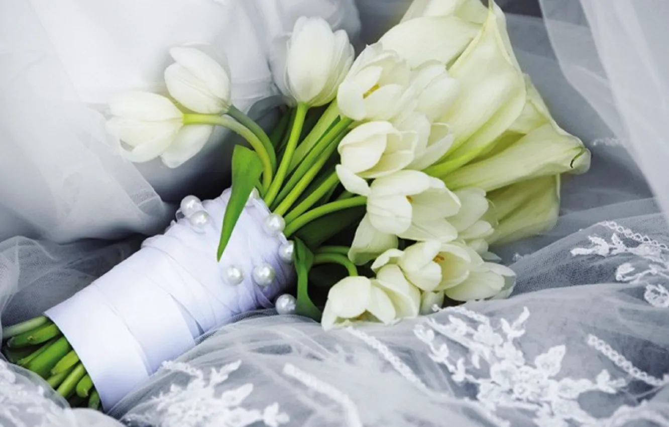 Фото обои white, beautiful, tulips, lovely, bouquet, wedding, delicate, tulip