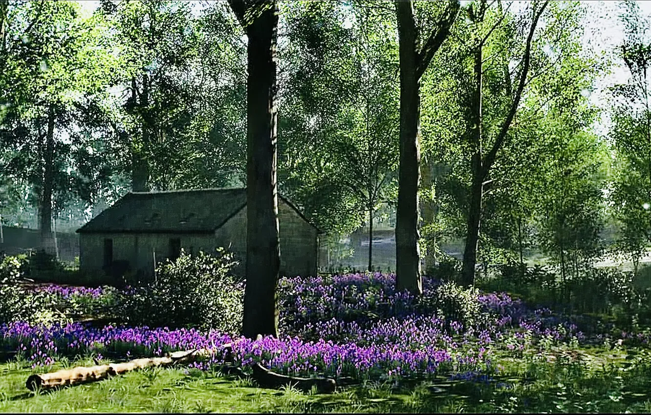 Фото обои HDR, house, sunshine, game, flower, trees, wood, spring